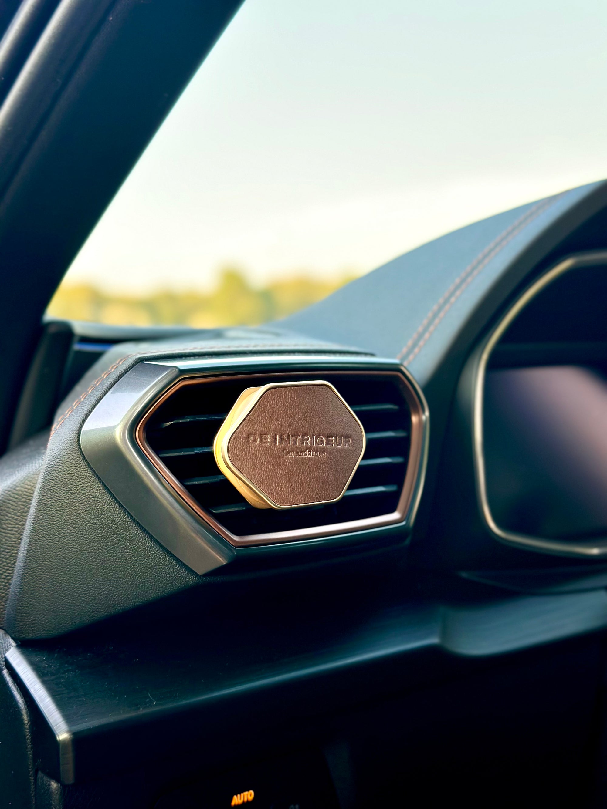 Intrigeur carclip